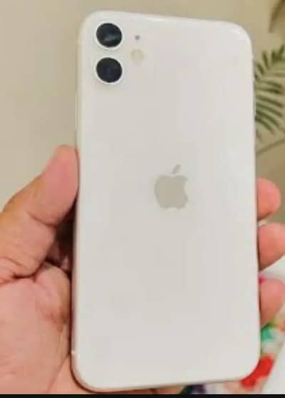 Apple iPhone 11 64 white panel damage