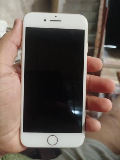 i phone 7
