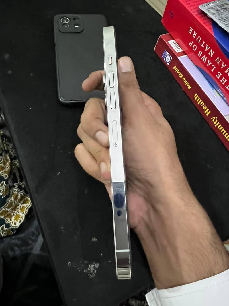 Apple iPhone 13 Pro Max 1