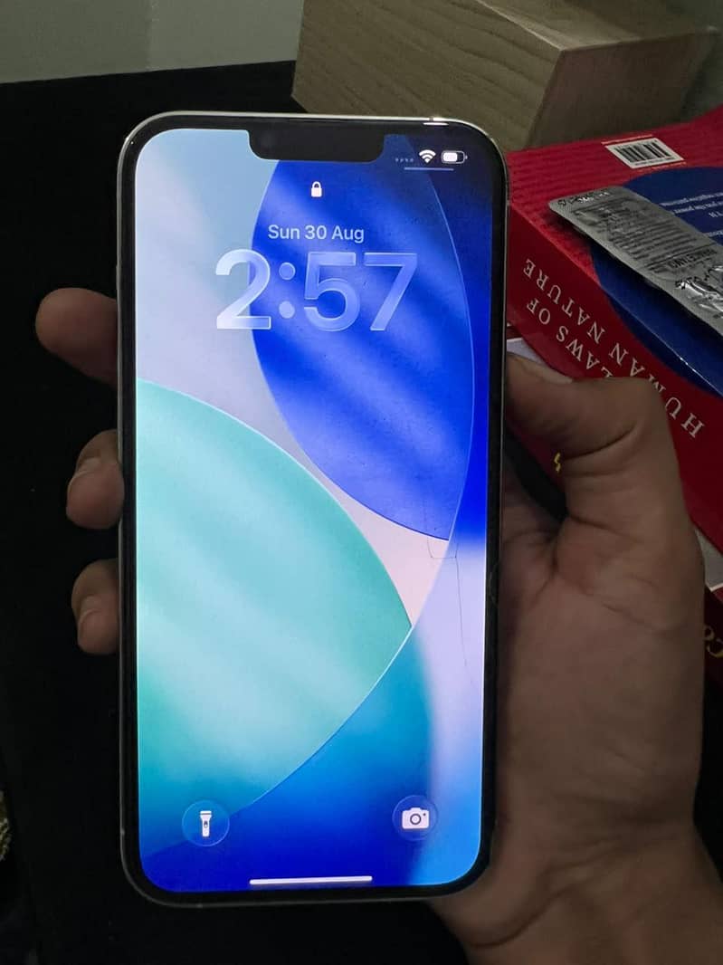 Apple iPhone 13 Pro Max 2