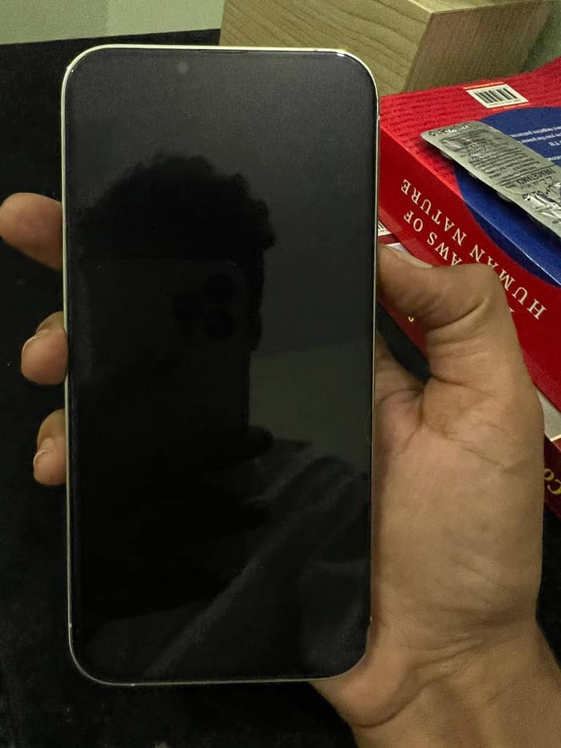 Apple iPhone 13 Pro Max 6