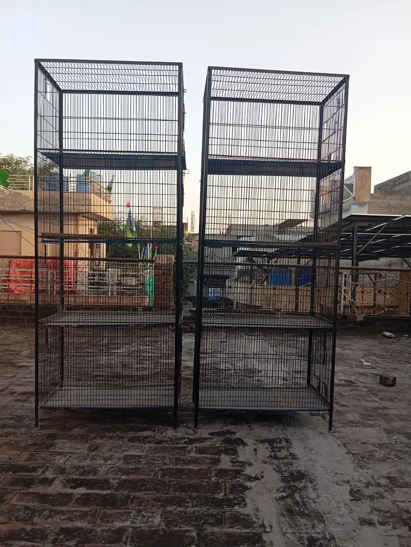 iron cages — photo 2