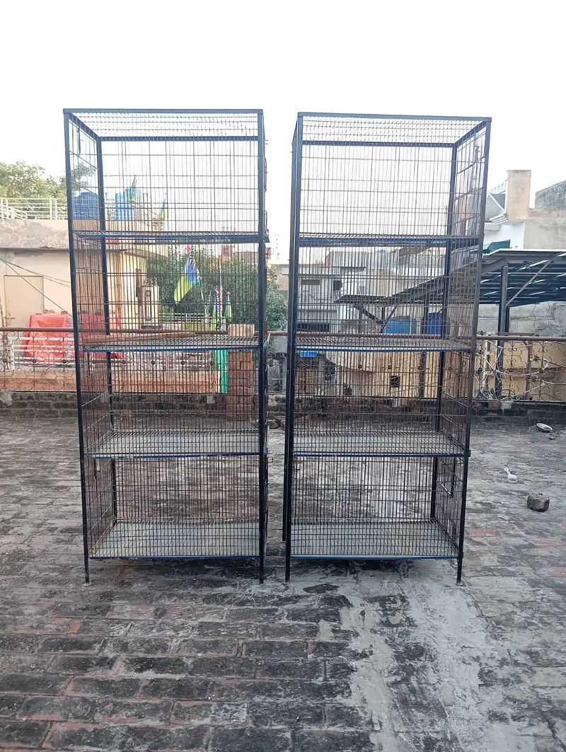 iron cages — photo 3