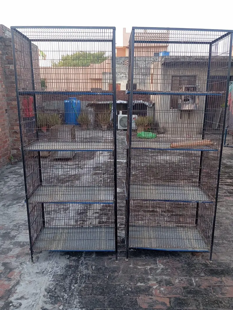 iron cages — photo 4