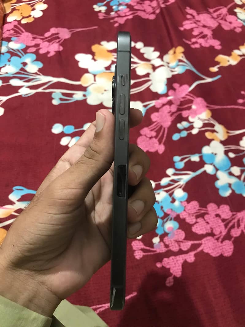 Apple iPhone 12 Pro Max 2