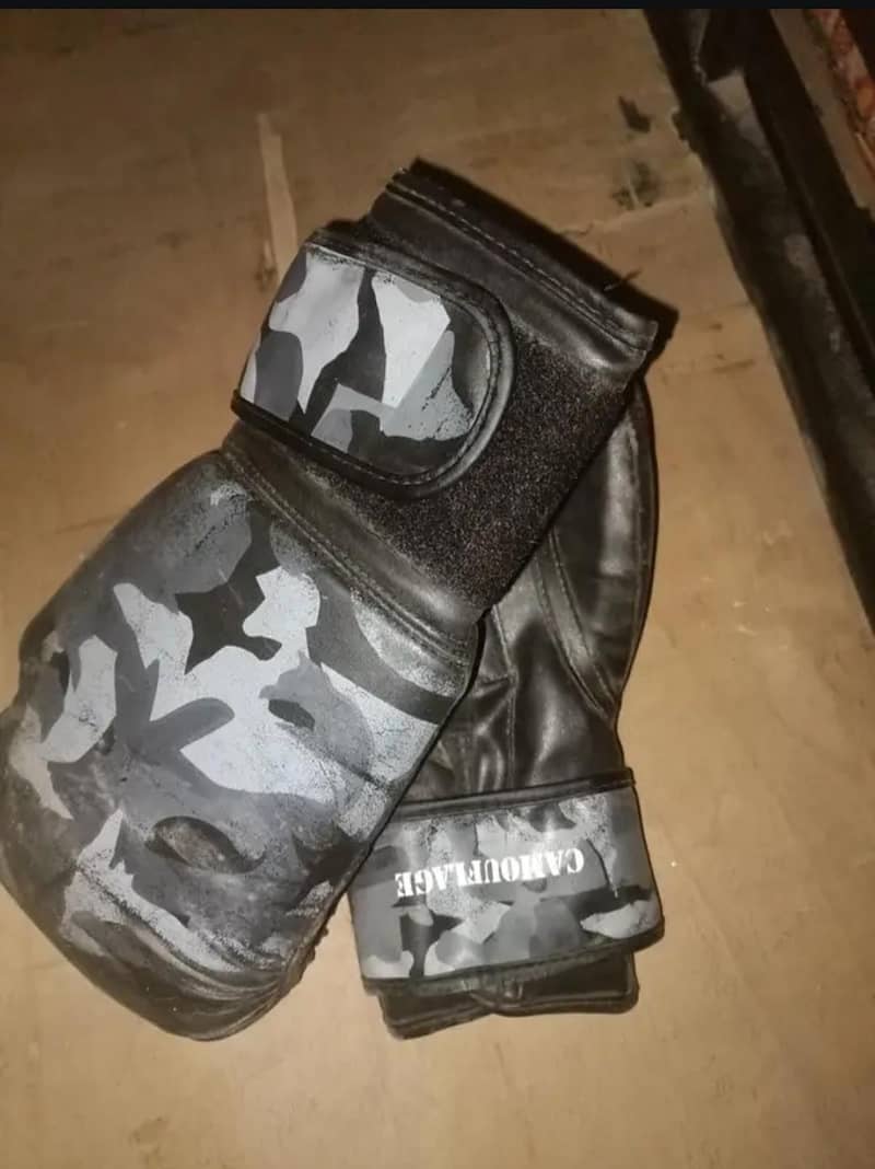 boxing gloves 1