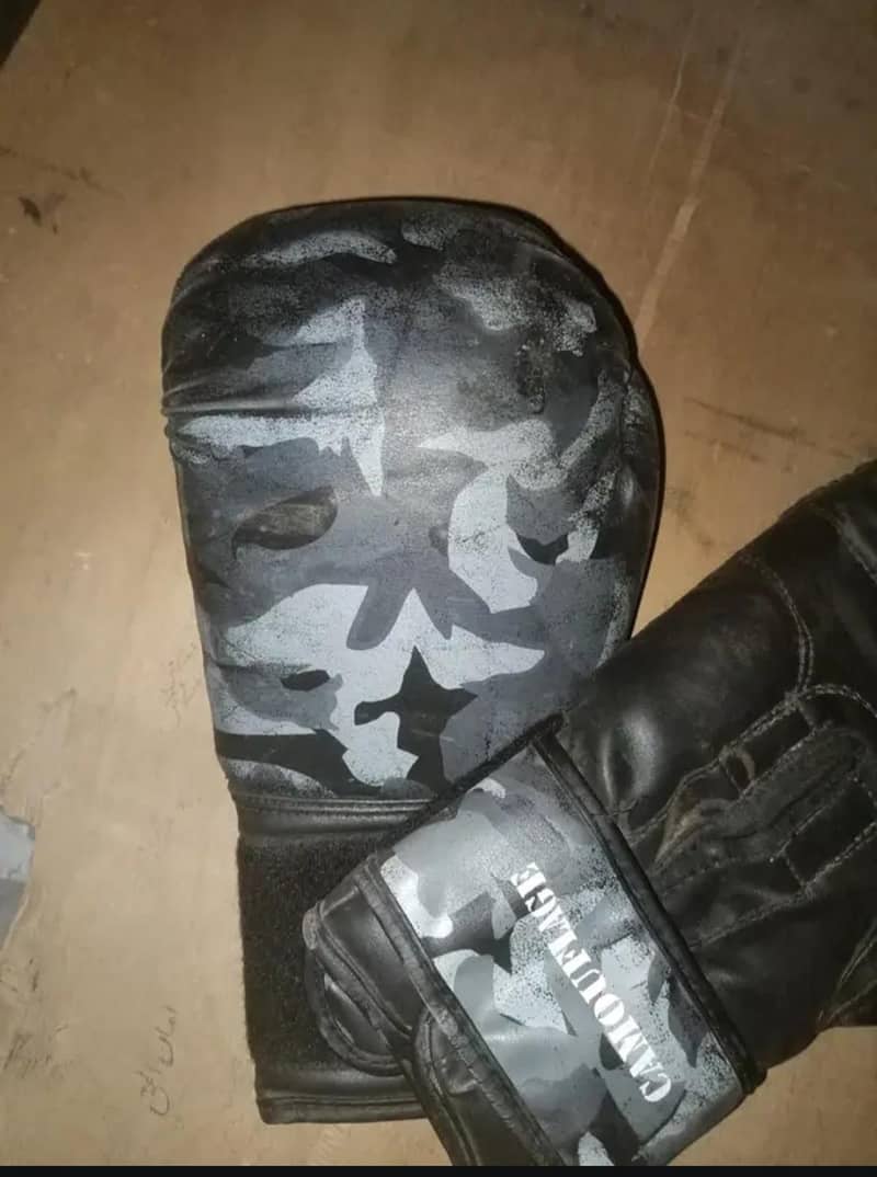 boxing gloves 2
