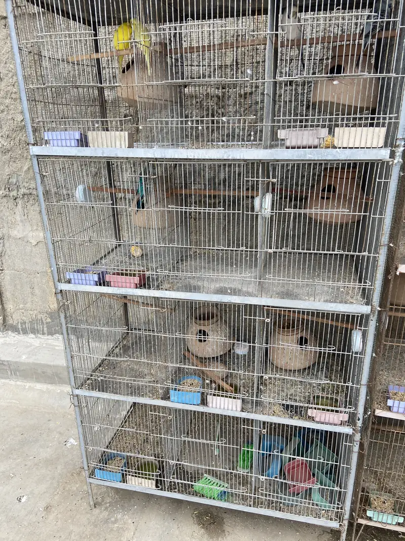 12 Portion Cage For Sale — photo 2