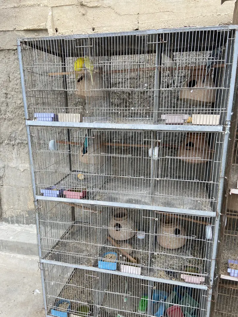 12 Portion Cage For Sale — photo 3