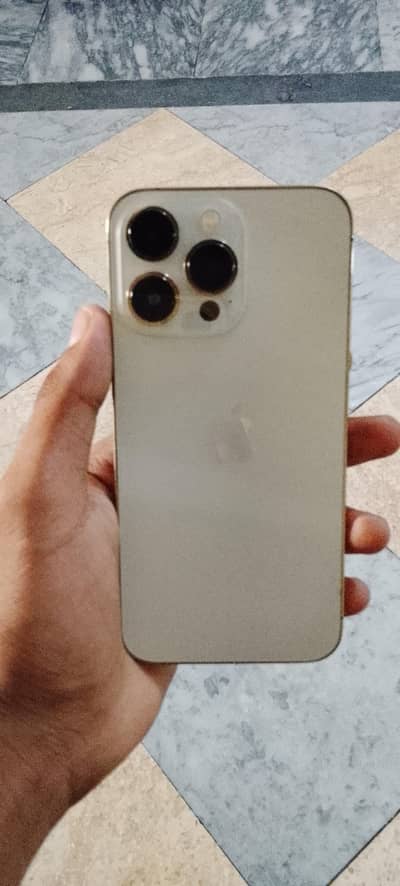 Apple iPhone 13 Pro
