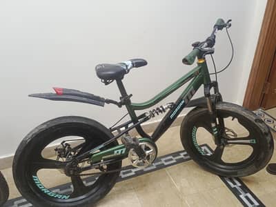 Morgan Bicycle for Sale – Ready to Ride