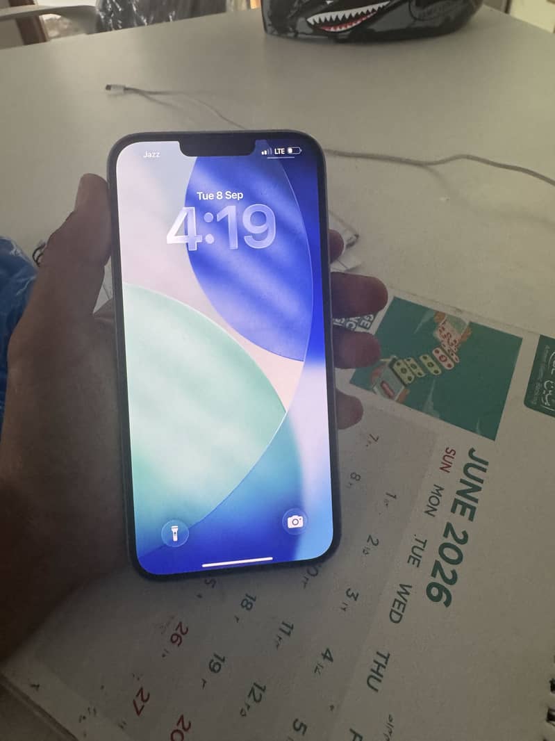 Apple iPhone 13 Pro Max 0
