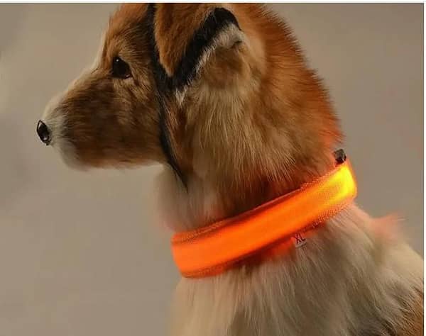 LED Glowing Dog Collar for Night Safety Cell Operated Light Up Adjustable Pet Collar Red Size L RA5498