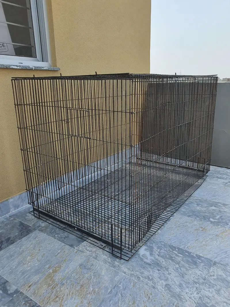 Birds cage sale  Lae Heavy Duty Folding Bird Cage – Strong & Spacious — photo 2