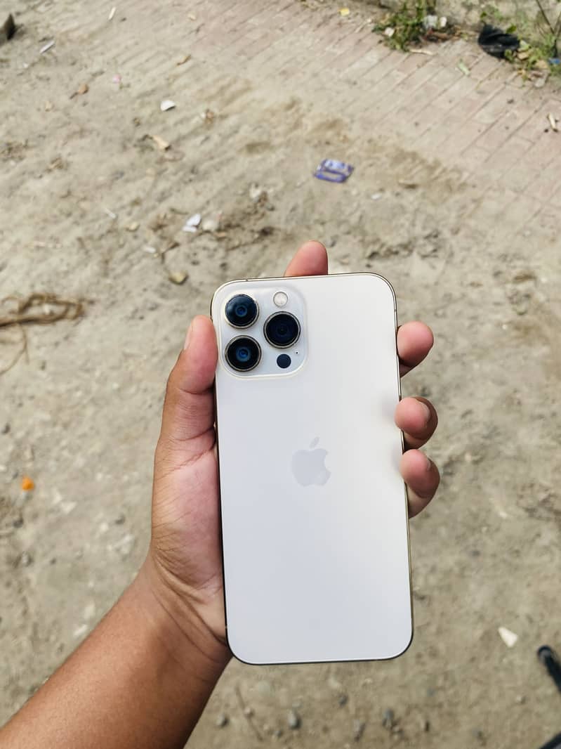 Apple iPhone 13 Pro Max 2