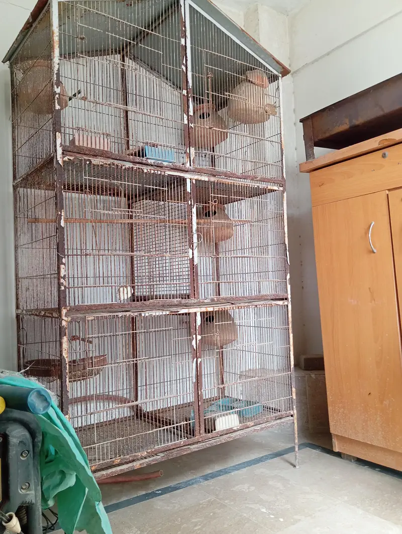 3 bird cages and breeding boxes — photo 4