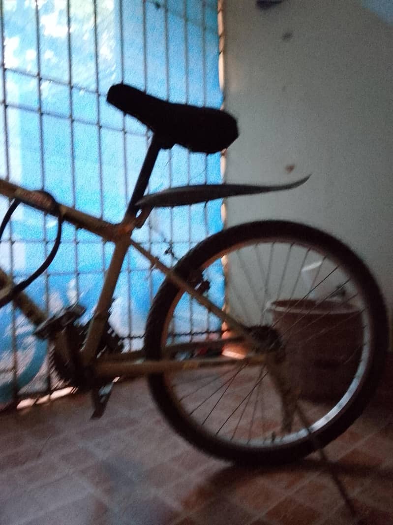 bicycle 0