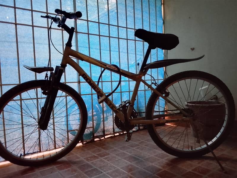 bicycle 1