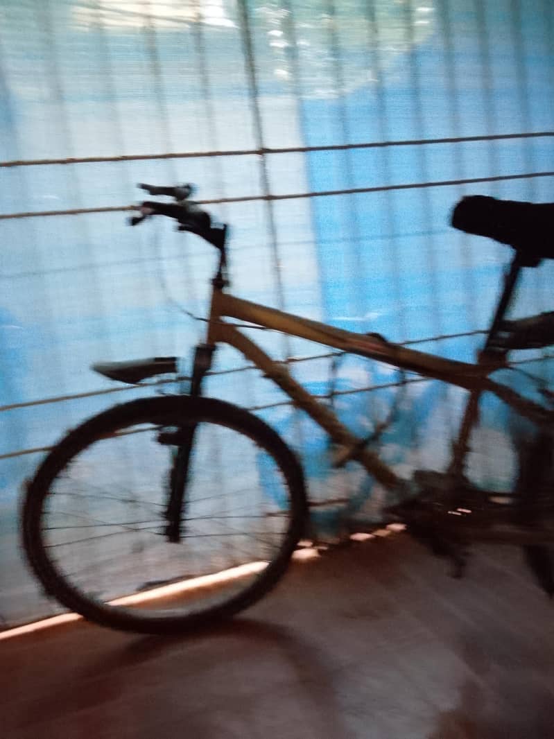 bicycle 2