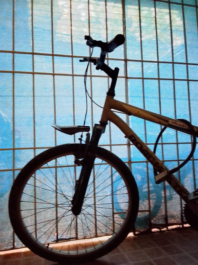 bicycle 3