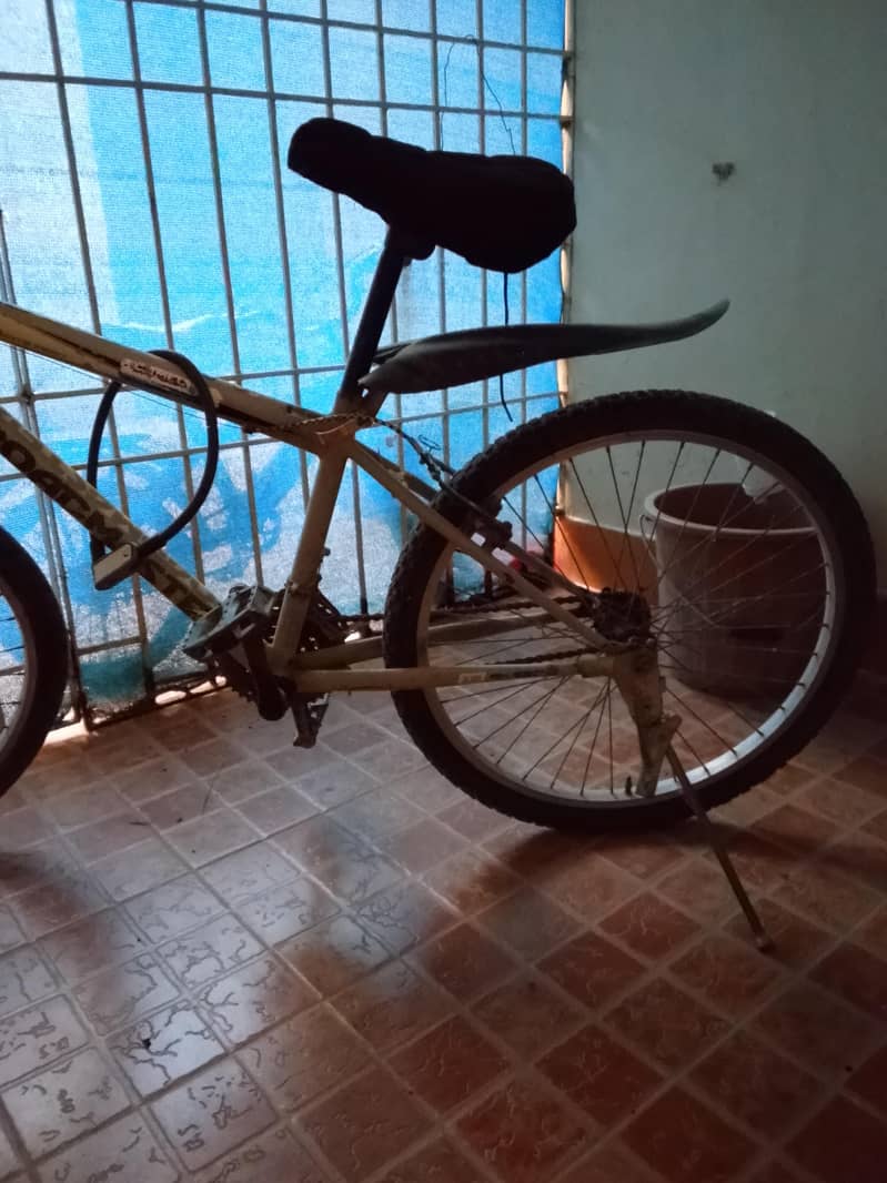 bicycle 4