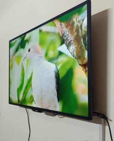 42" smart led