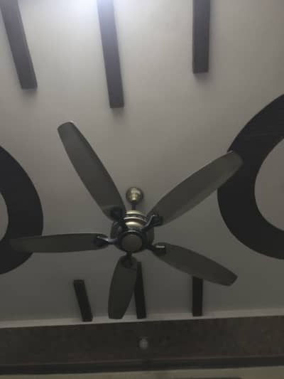 Sufi fan AC/DC 5 wings calling fan