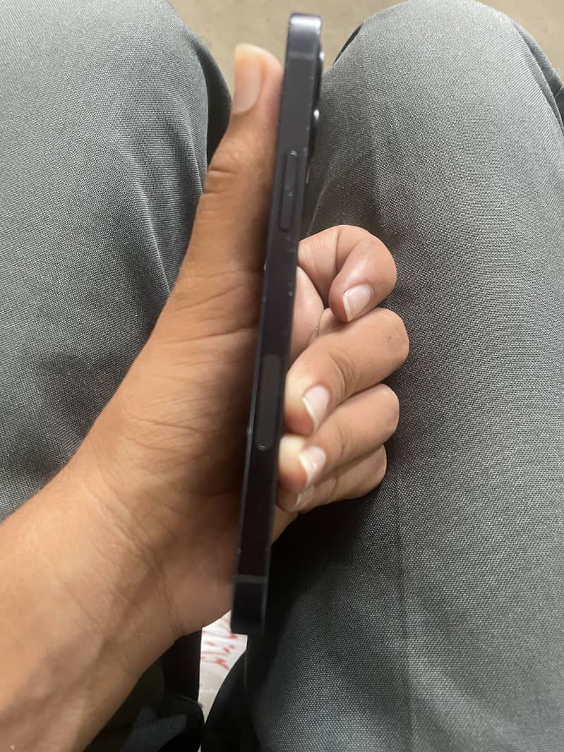 Apple iPhone 12 1