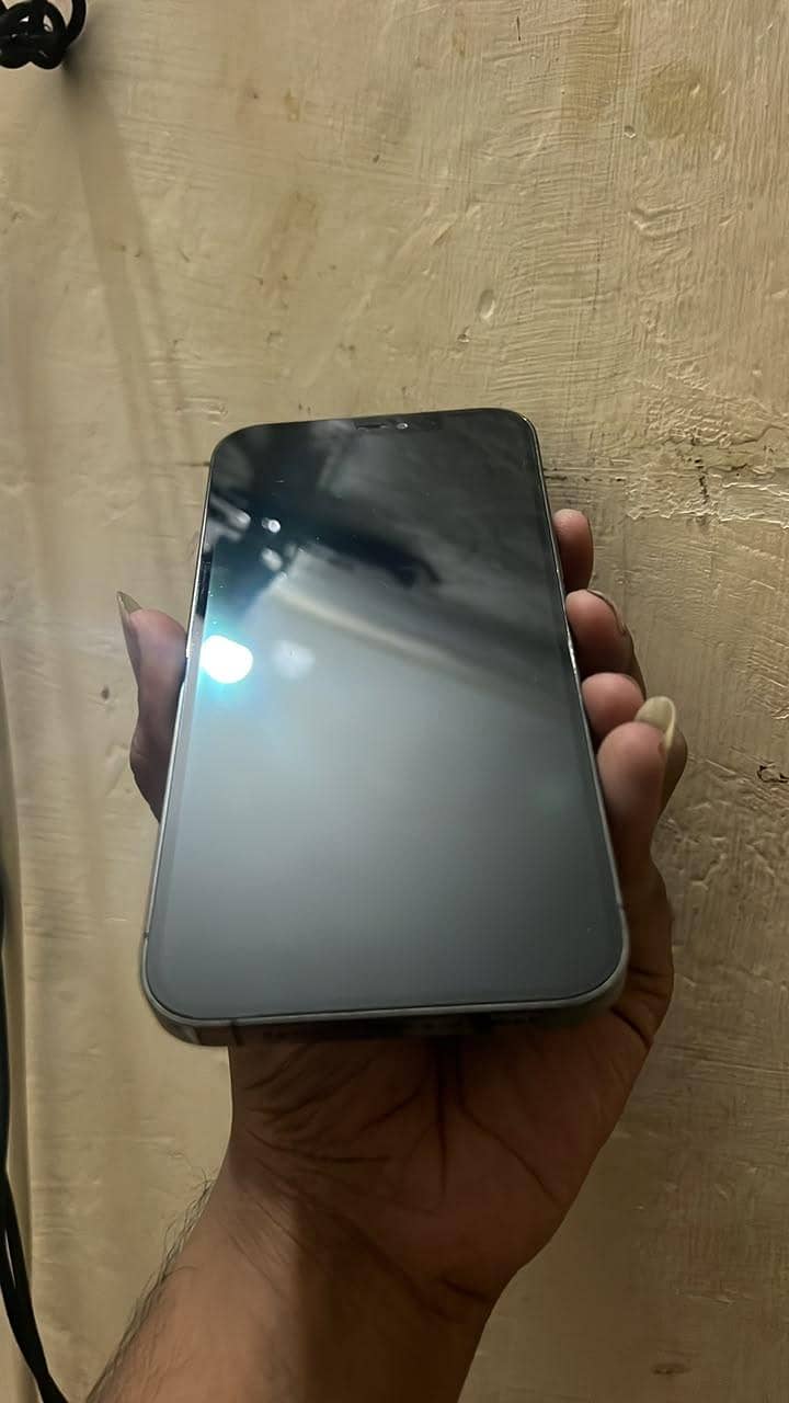 Apple iPhone 12 Pro Max 1