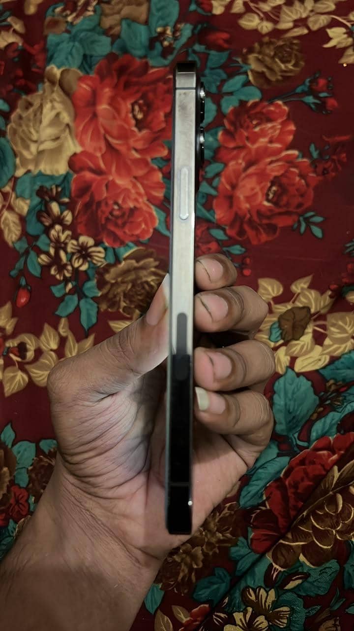 Apple iPhone 12 Pro Max 2