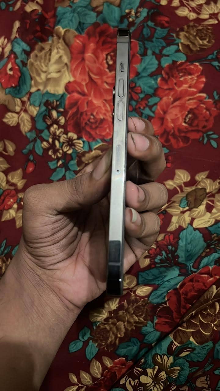 Apple iPhone 12 Pro Max 3
