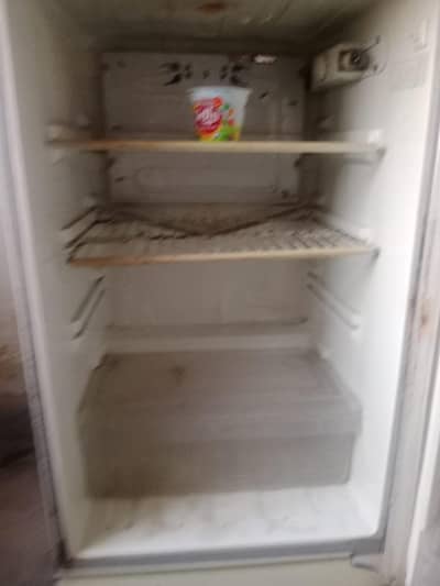 pel fridge