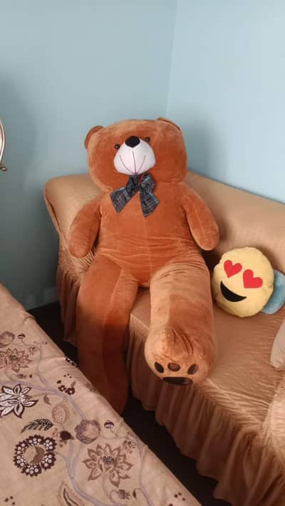 6ft brown teddy