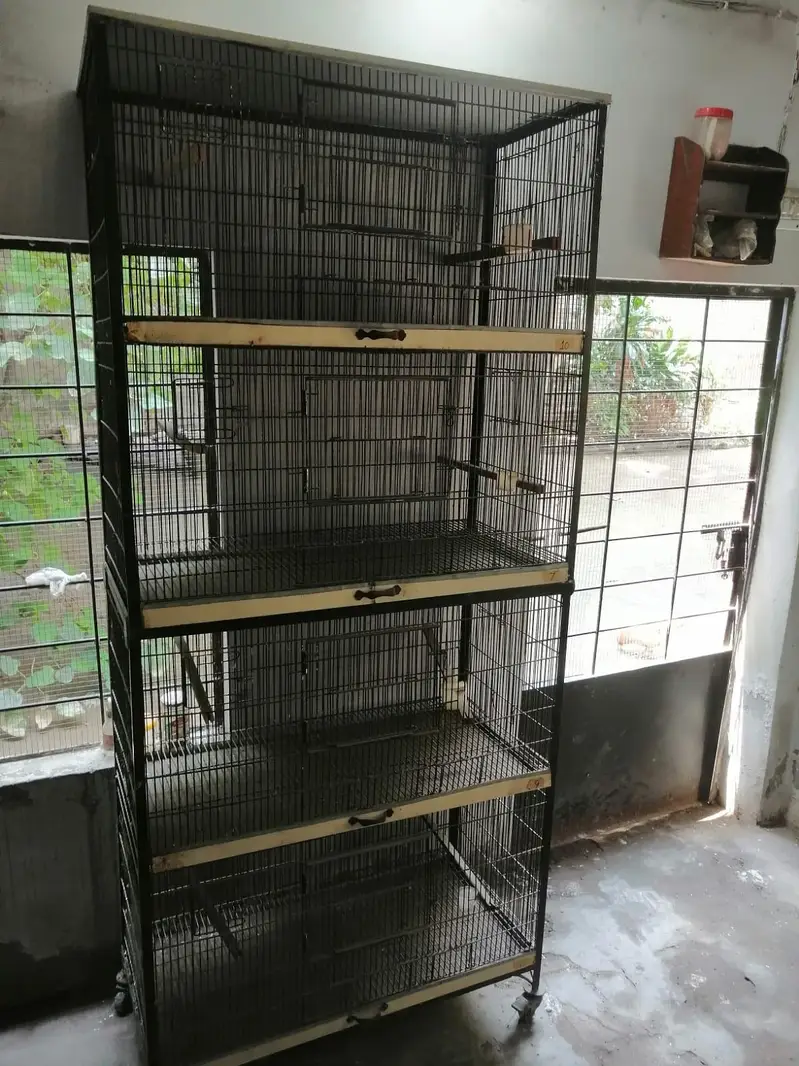2 full angle cages of parrots for sale