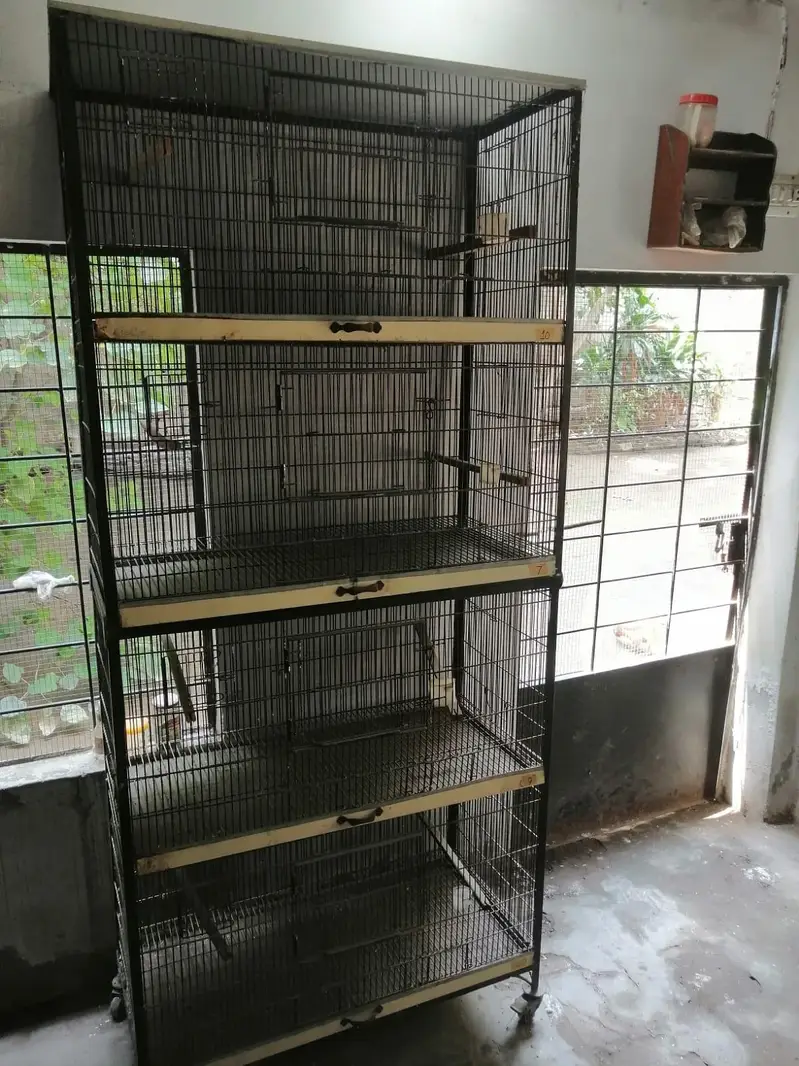 2 full angle cages of parrots for sale — photo 2