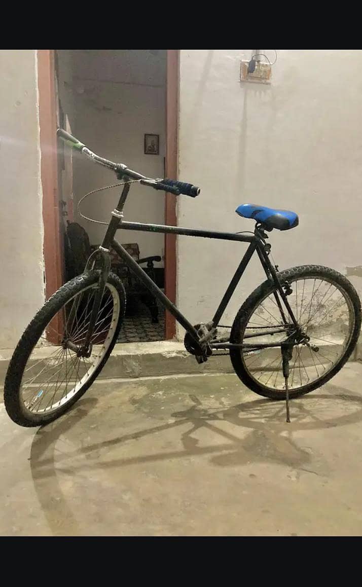 Amazing cycle 0
