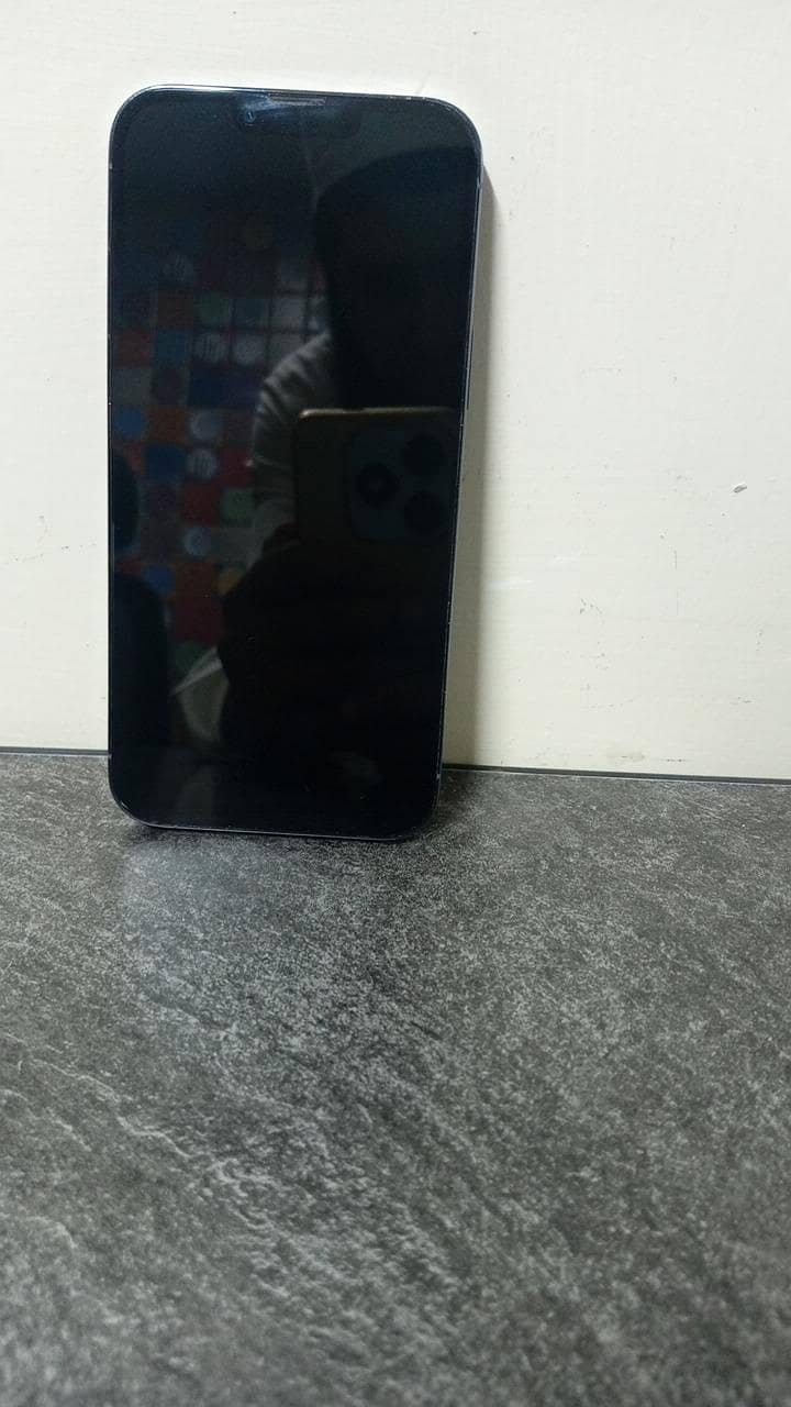 Apple iPhone 13 Pro Max 2