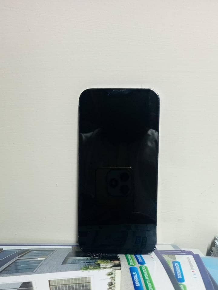 Apple iPhone 13 Pro Max 3