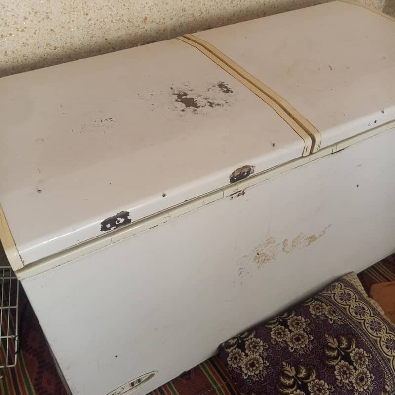 freezer 1