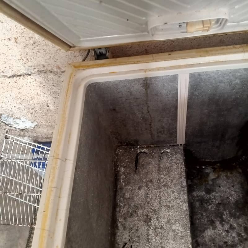 freezer 2