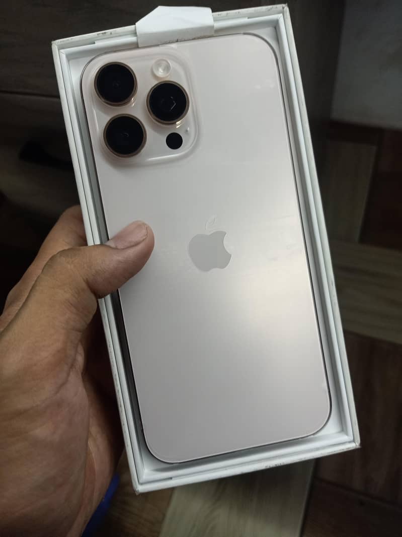 Apple iPhone 16 Pro Max 1