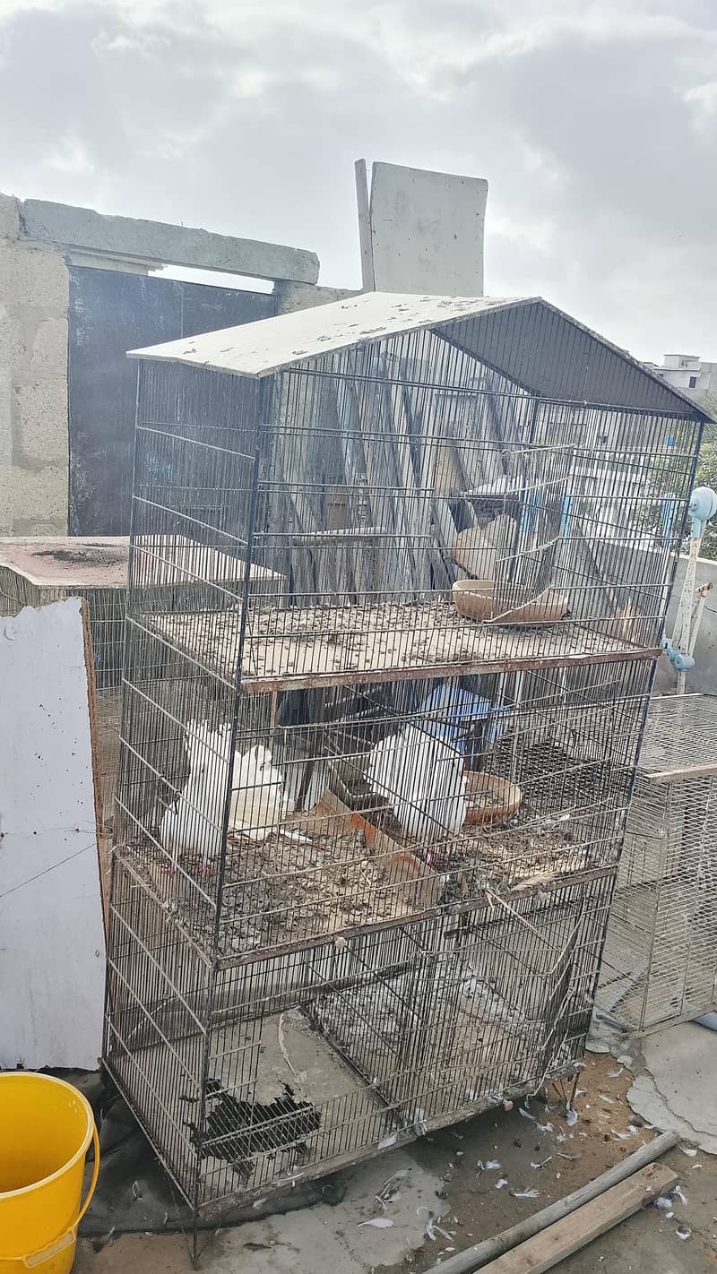 kabootar cage 0