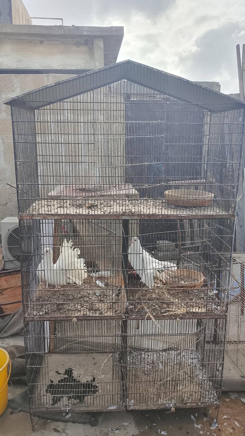 kabootar cage 2