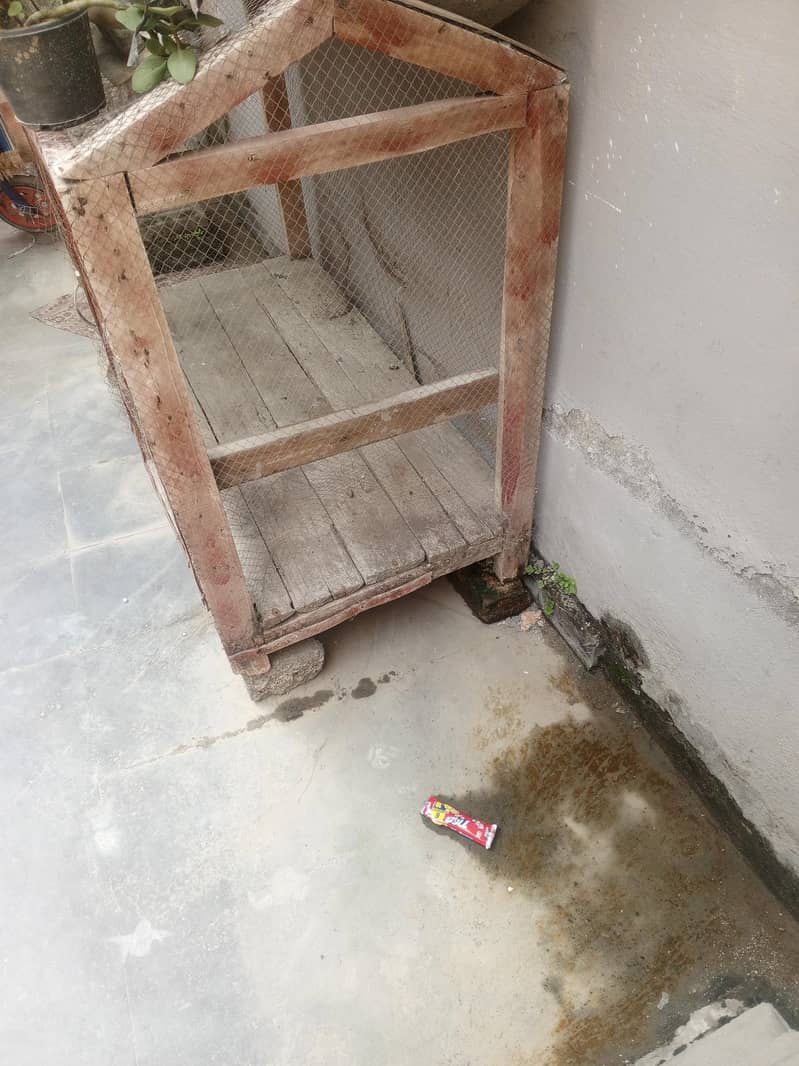 hens cage 3