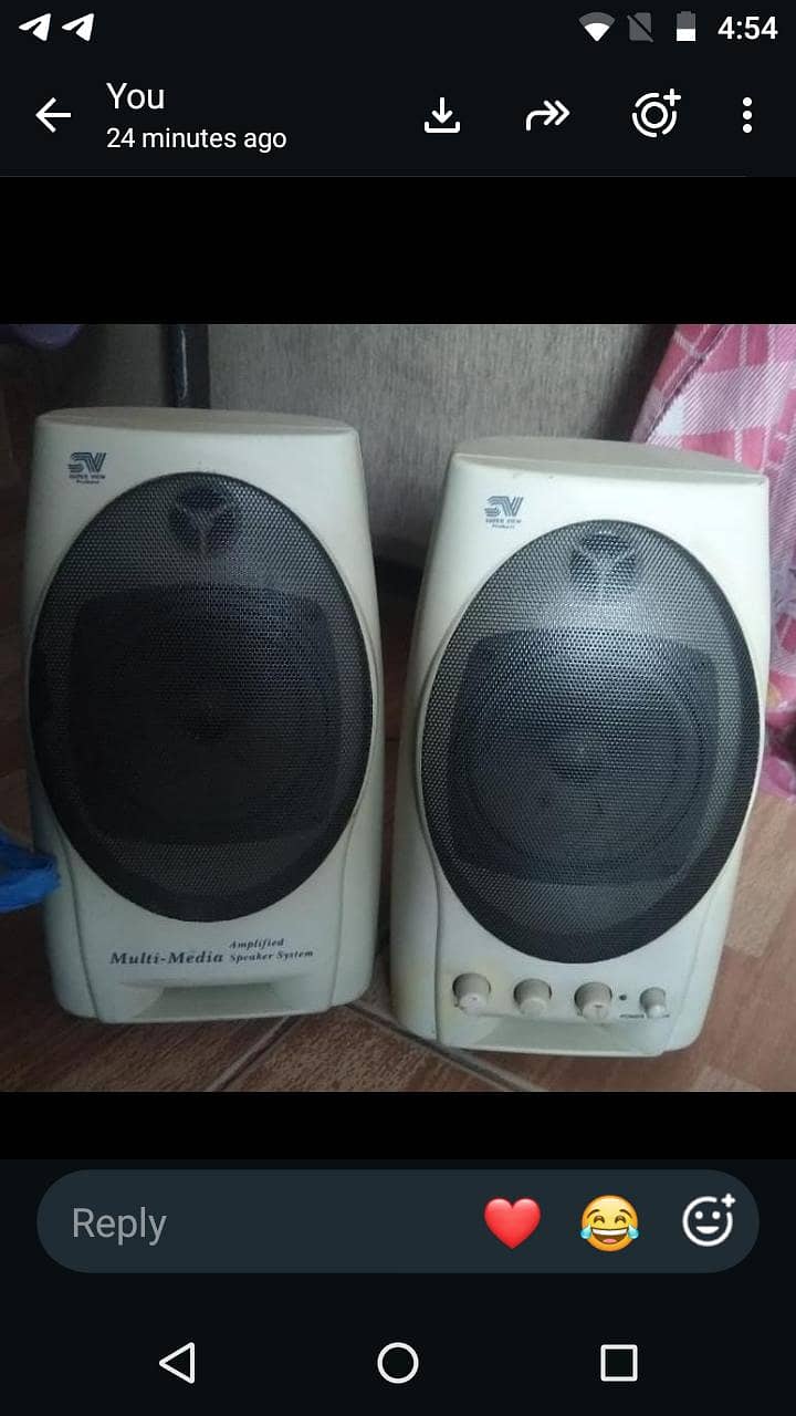 computer speakers 1