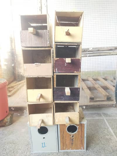 Breeding Box