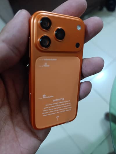 17 pro max