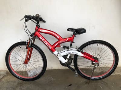 Dubai Import (Magnum Brooks Apache MTB).