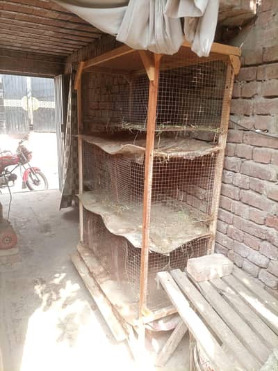 6 Foot x 4 Foot Self Cleaning Cage