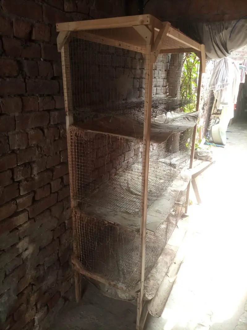 6 Foot x 4 Foot Self Cleaning Cage — photo 2